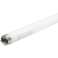 17 WattsW Linear T8 Fluorescent Tube,  3,500K, 120-277V
