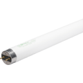 17 WattsW Linear T8 Fluorescent Tube,  5,000K, 120-277V