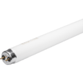 25 WattsW Linear T8 Fluorescent Tube,  3,000K, 120-277V
