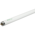 32W Linear T8 Long Life Fluorescent Tube,  3,500K, 120-277V