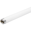 32 Watts Linear T8 Fluorescent Tube,  5,000K, 120-277V