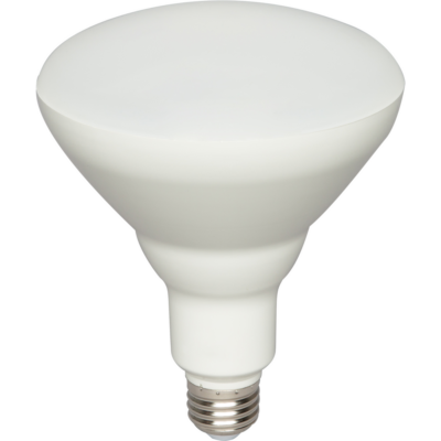 LED BR40