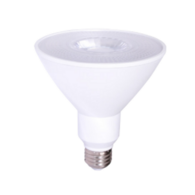 LED Wet Location PAR38